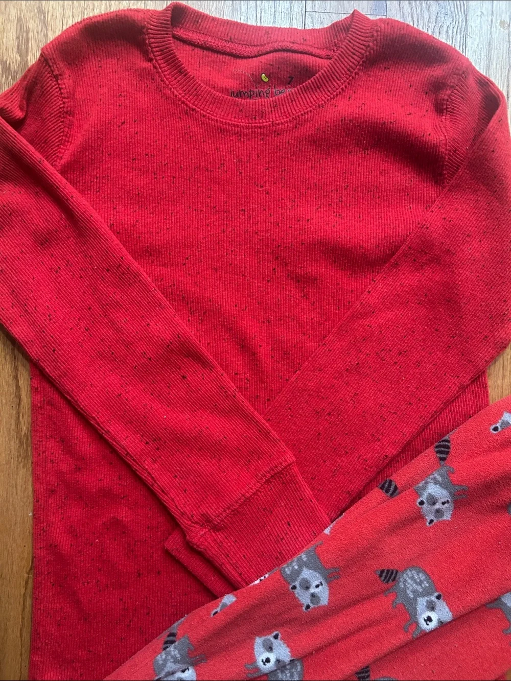 Kids Red Raccoon Print Pajama Set size 6/7